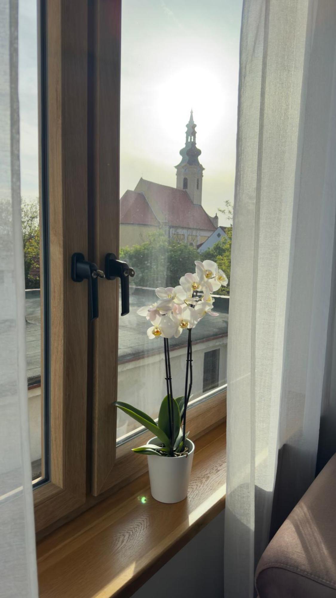 Villa Popice S Vyhledem Na Palavu Exterior foto